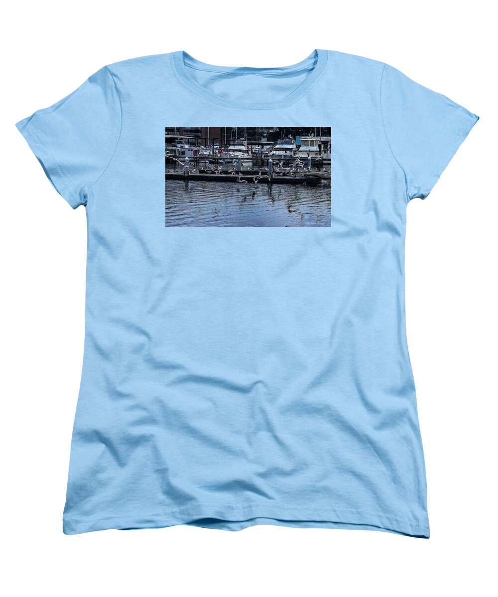 Birds at the Dock - Women's T-Shirt (Standard Fit)