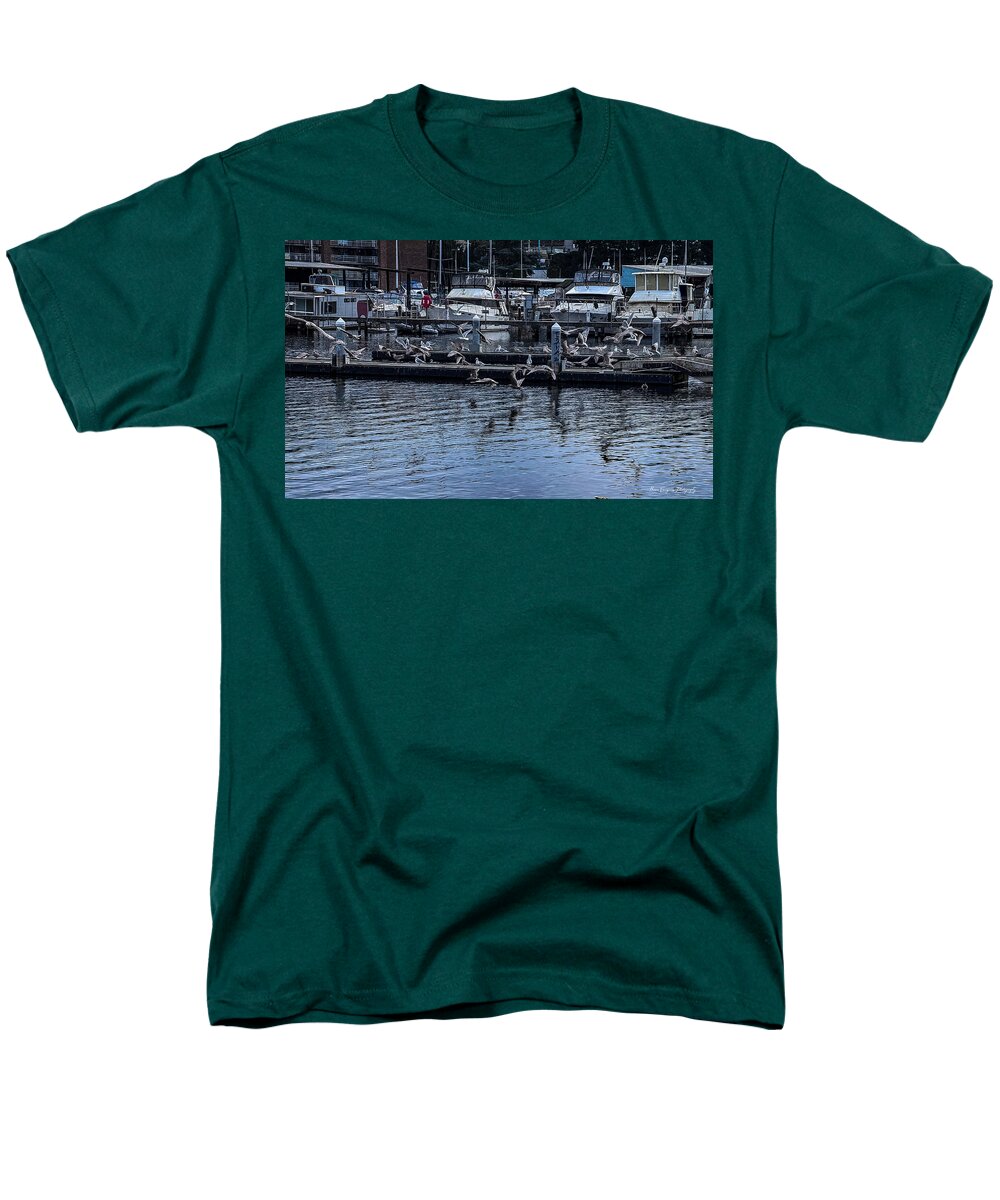 Birds at the Dock - Men's T-Shirt (Regular Fit)