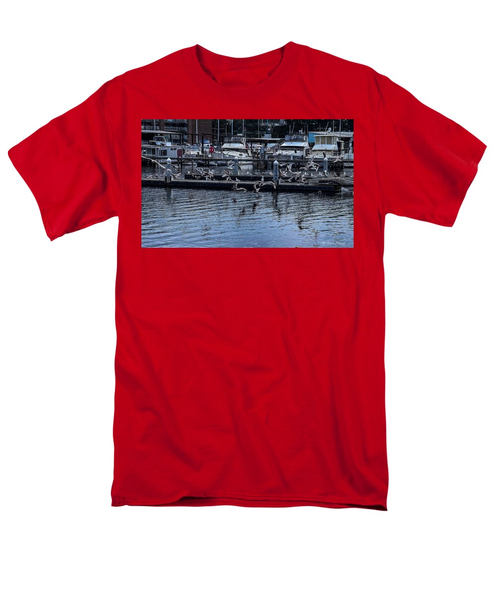 Birds at the Dock - Men's T-Shirt (Regular Fit)