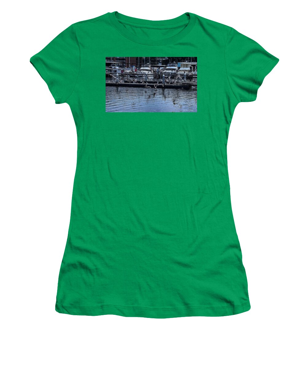 Birds at the Dock - Women's T-Shirt