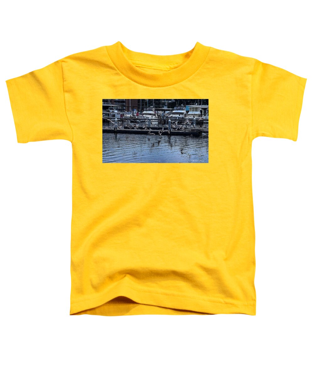 Birds at the Dock - Toddler T-Shirt