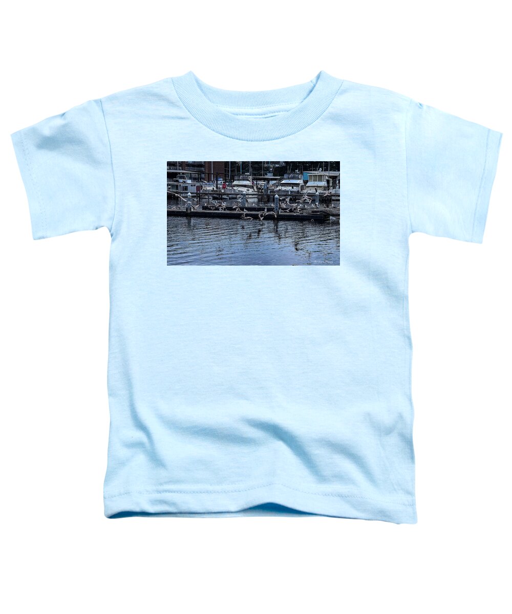 Birds at the Dock - Toddler T-Shirt