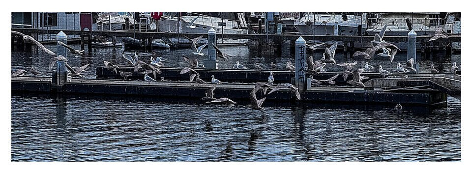 Birds at the Dock - Yoga Mat