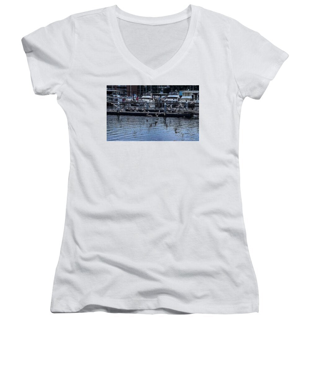 Birds at the Dock - Women's V-Neck