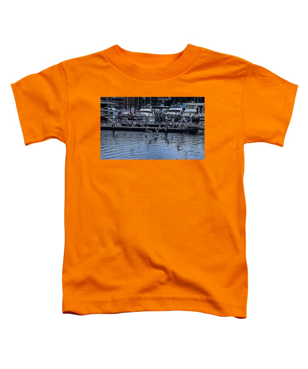 Birds at the Dock - Toddler T-Shirt