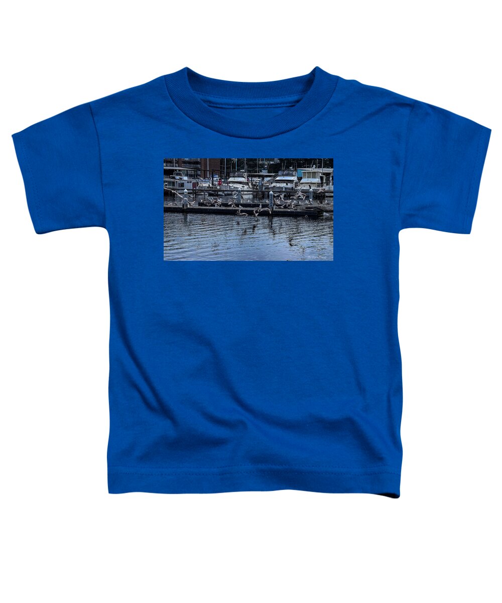 Birds at the Dock - Toddler T-Shirt