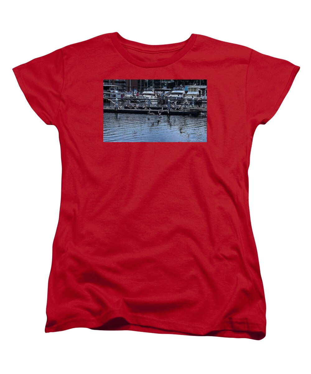 Birds at the Dock - Women's T-Shirt (Standard Fit)