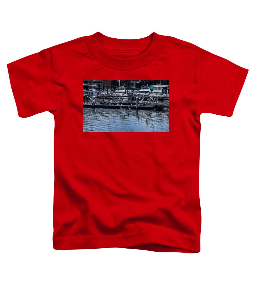 Birds at the Dock - Toddler T-Shirt