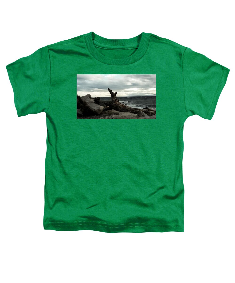 Burnt wood - Toddler T-Shirt