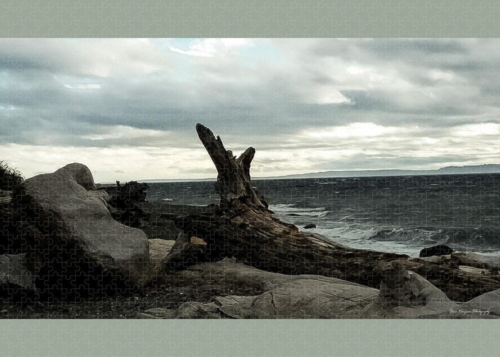 Burnt wood - Puzzle