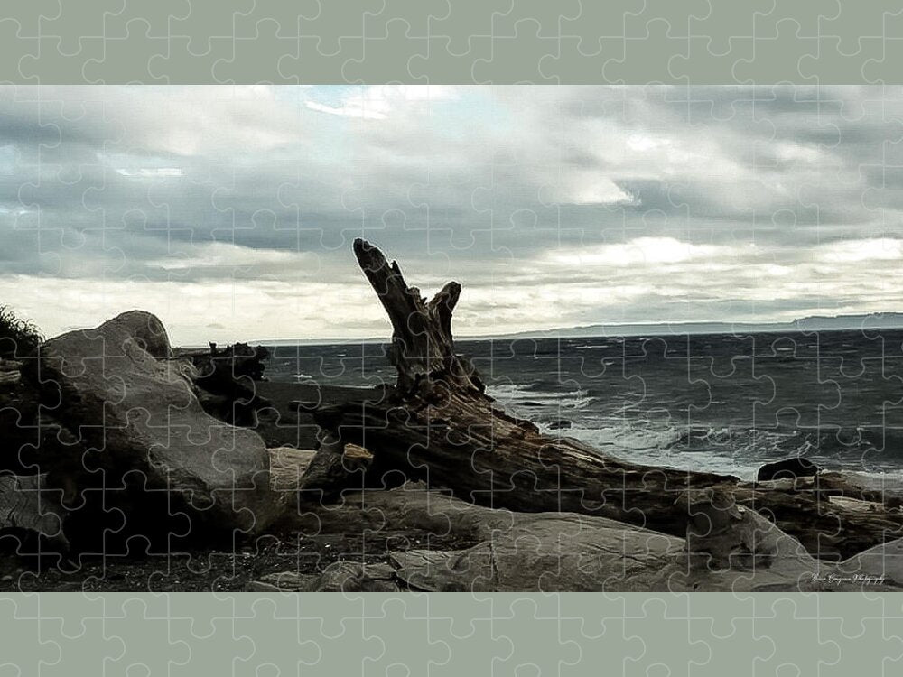Burnt wood - Puzzle