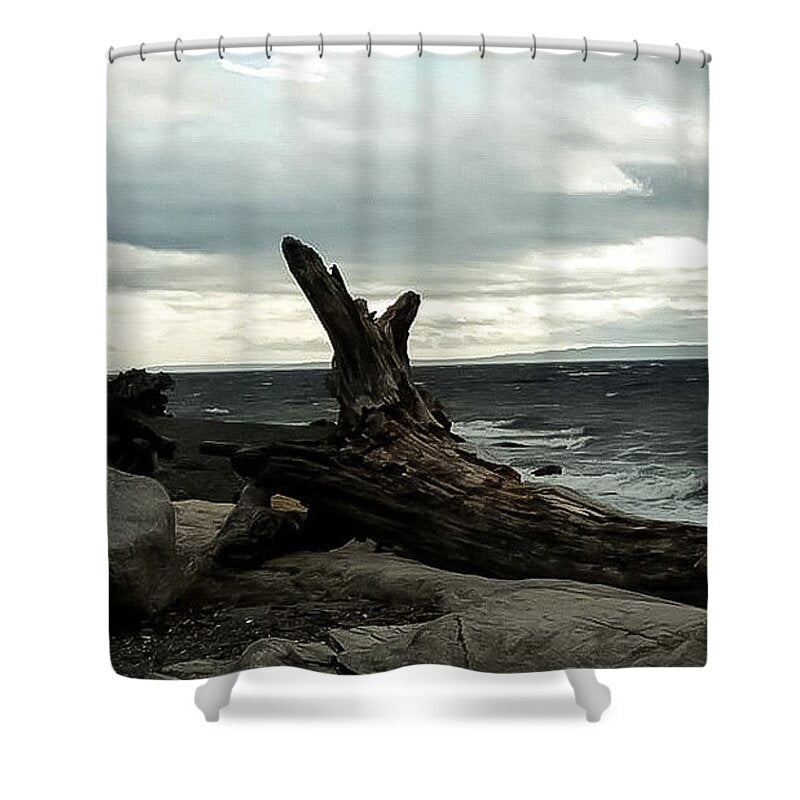 Burnt wood - Shower Curtain
