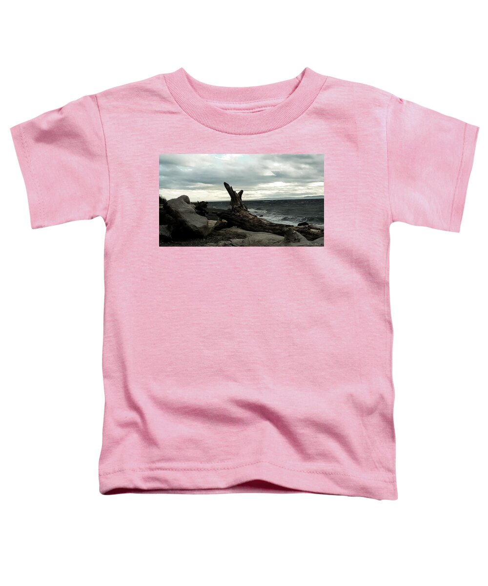 Burnt wood - Toddler T-Shirt