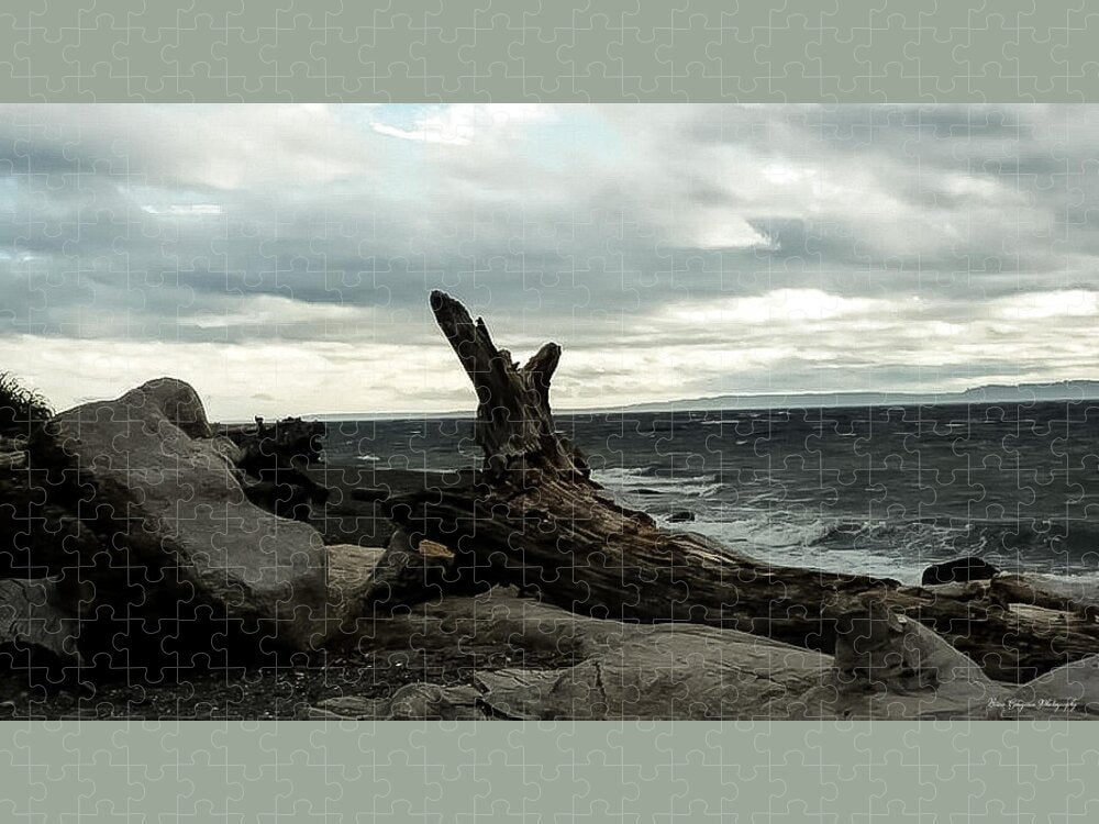 Burnt wood - Puzzle