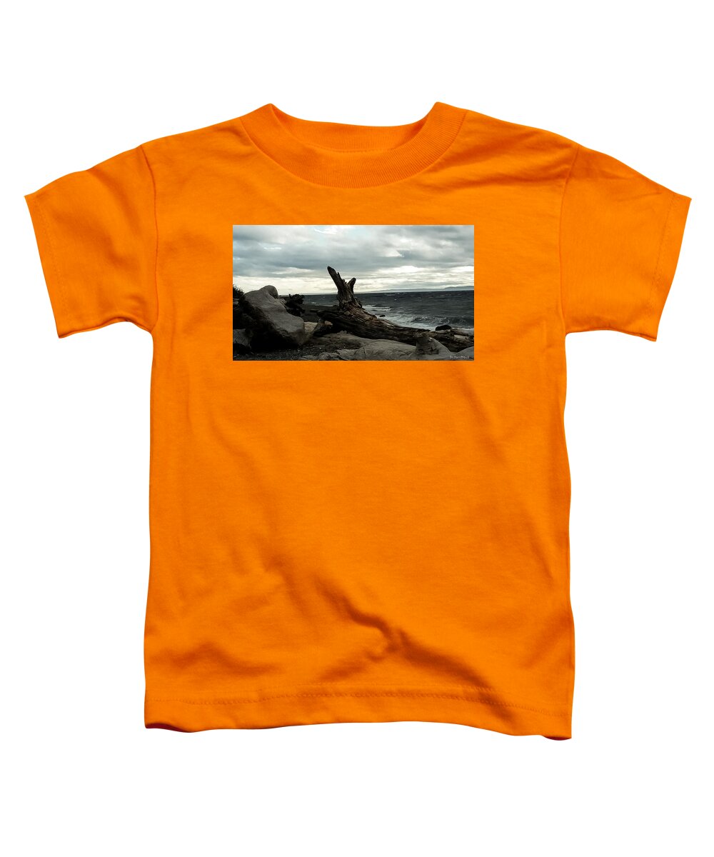 Burnt wood - Toddler T-Shirt