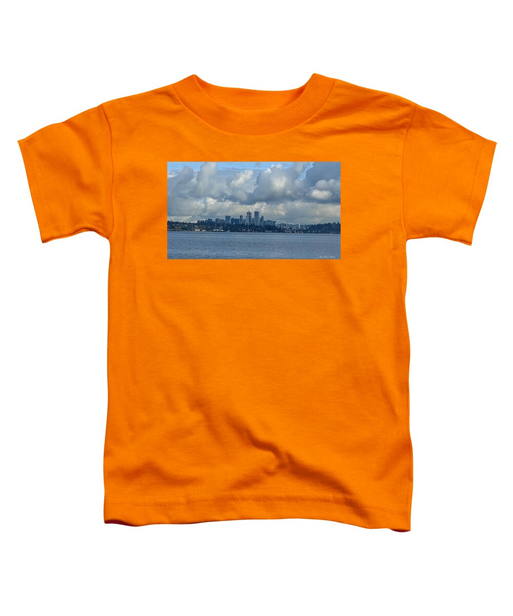Clouds above the city - Toddler T-Shirt