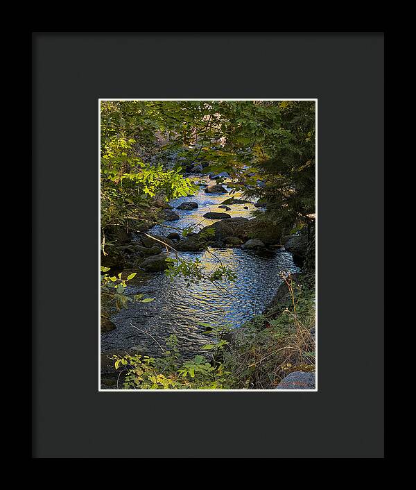 Creek - Framed Print