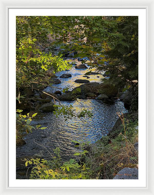 Creek - Framed Print