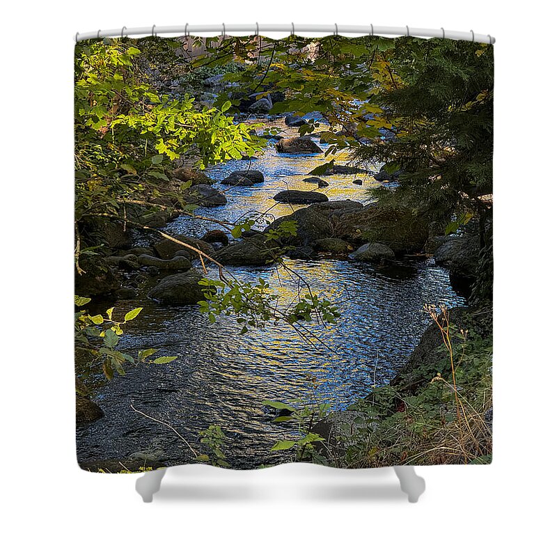 Creek - Shower Curtain