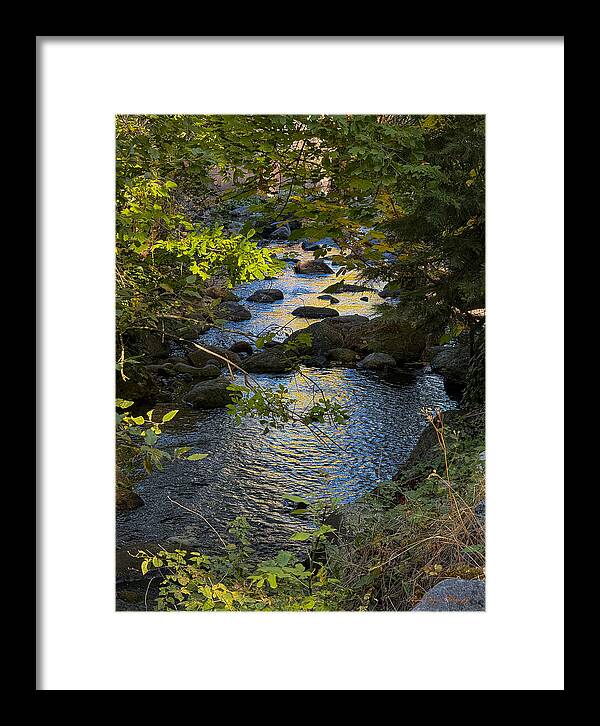 Creek - Framed Print