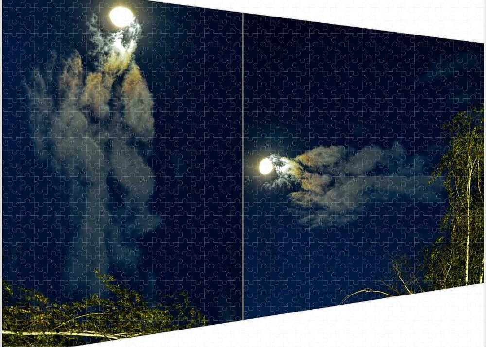 Different views - Puzzle