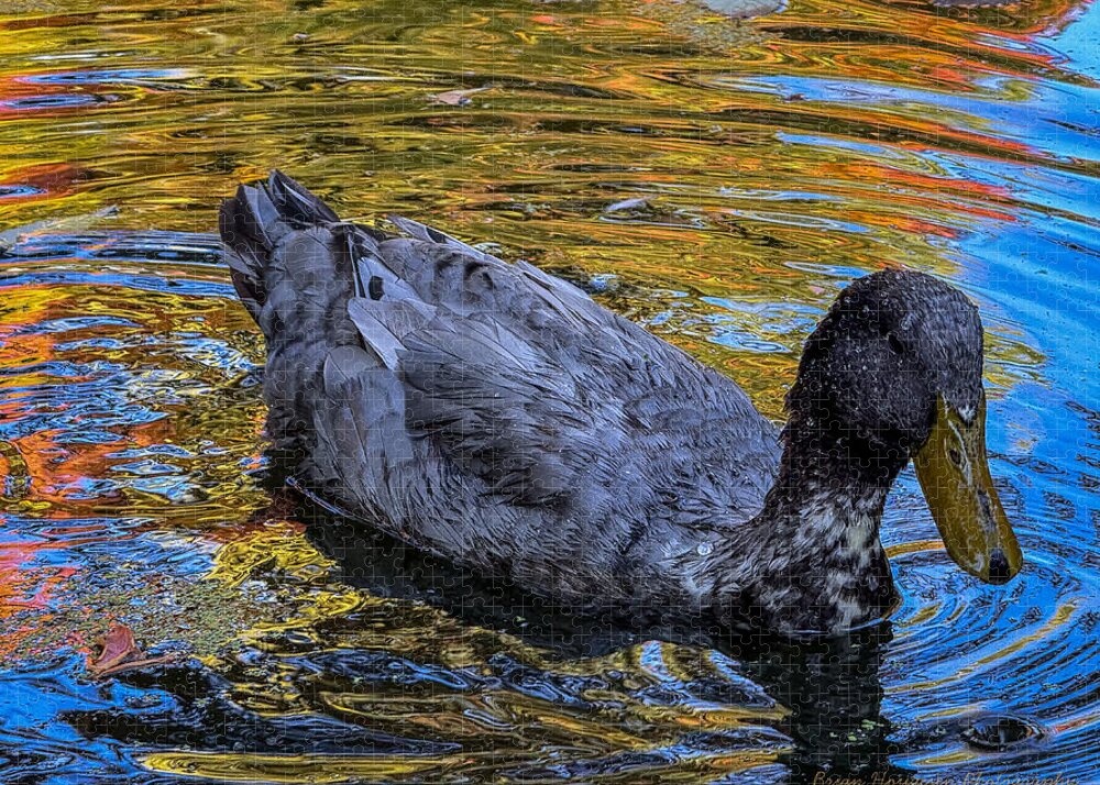 Duck in the pond - Puzzle