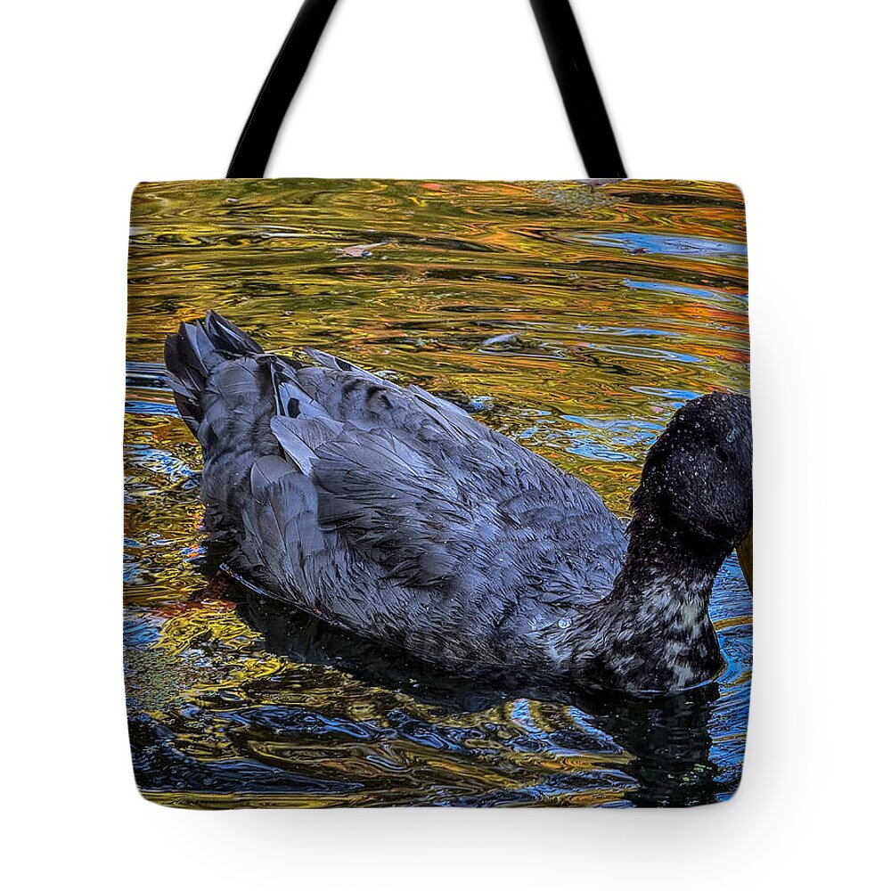 Duck in the pond - Tote Bag