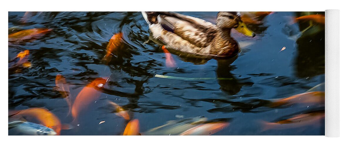 Duck with the koi - Yoga Mat
