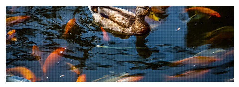 Duck with the koi - Yoga Mat