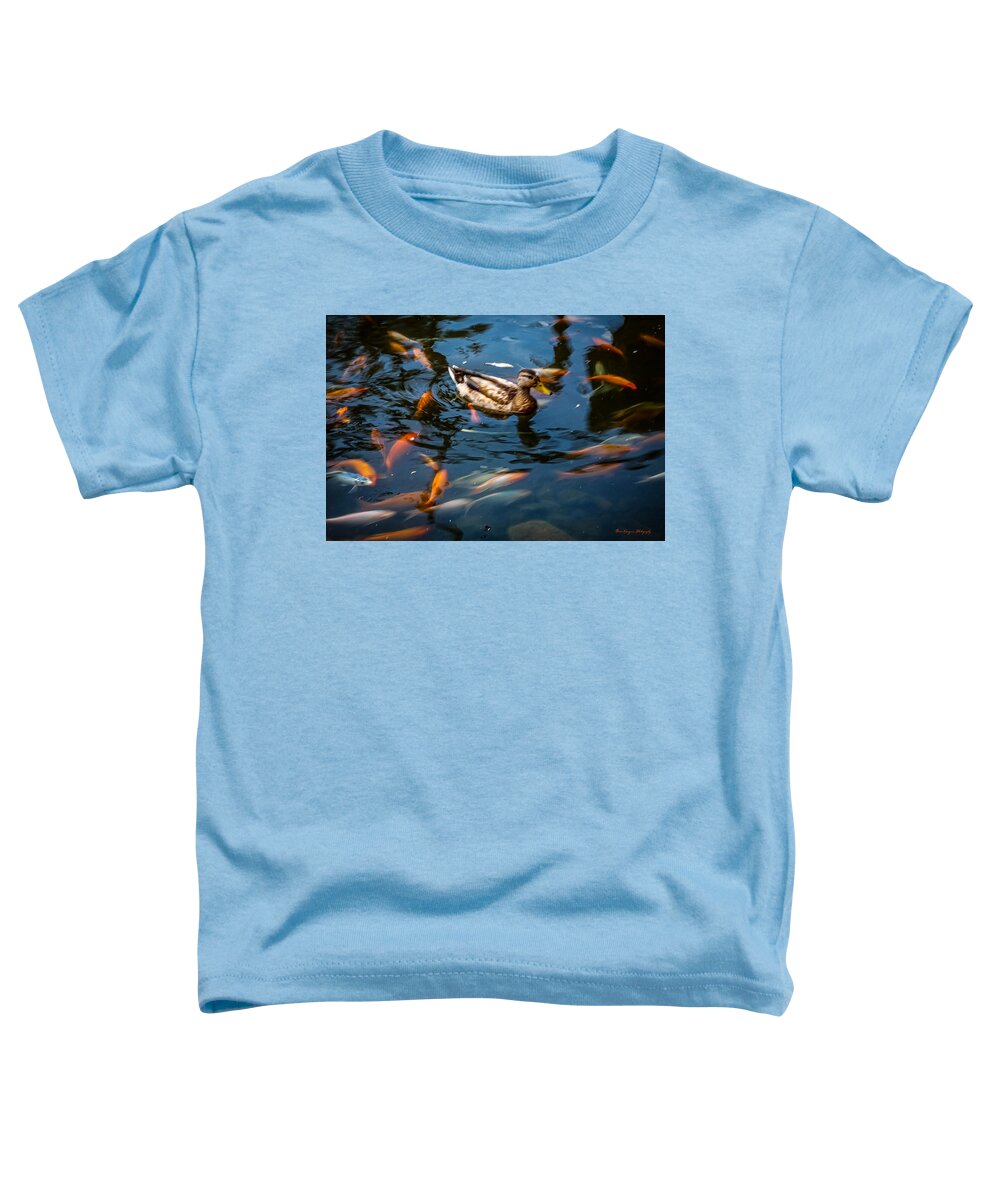Duck with the koi - Toddler T-Shirt
