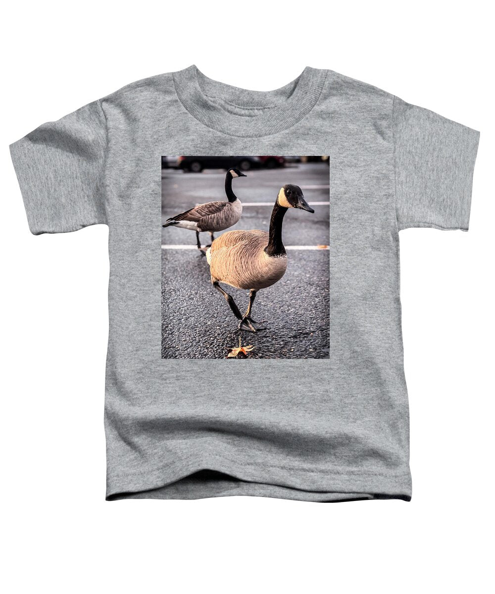 Geese in the parking lot - Toddler T-Shirt