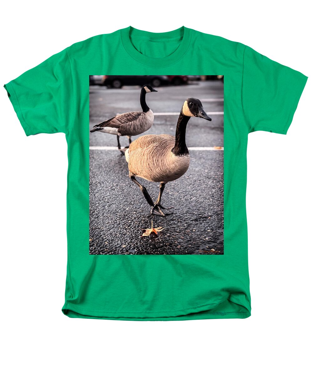 Geese in the parking lot - Men's T-Shirt (Regular Fit)