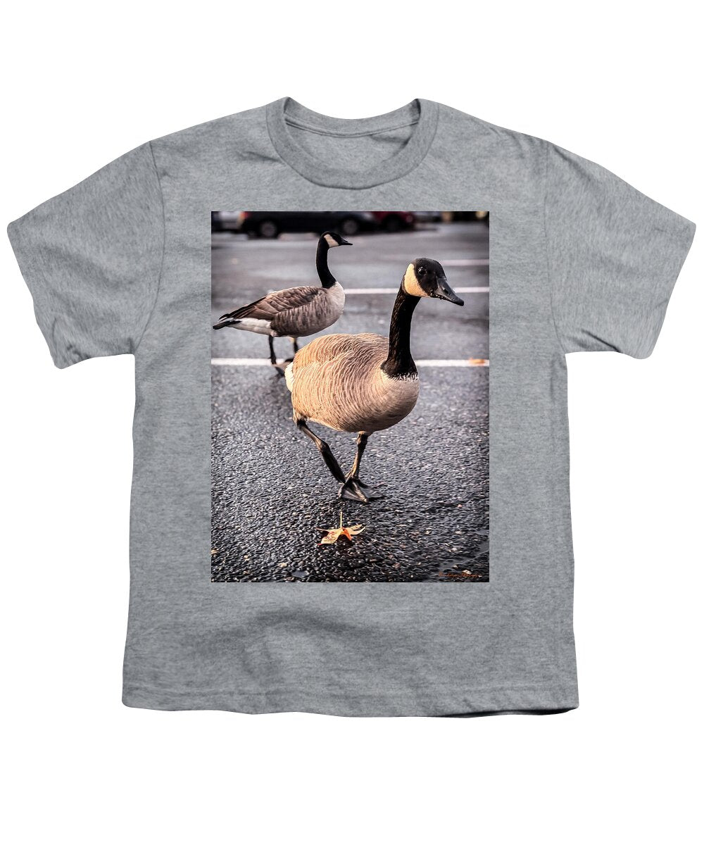 Geese in the parking lot - Youth T-Shirt