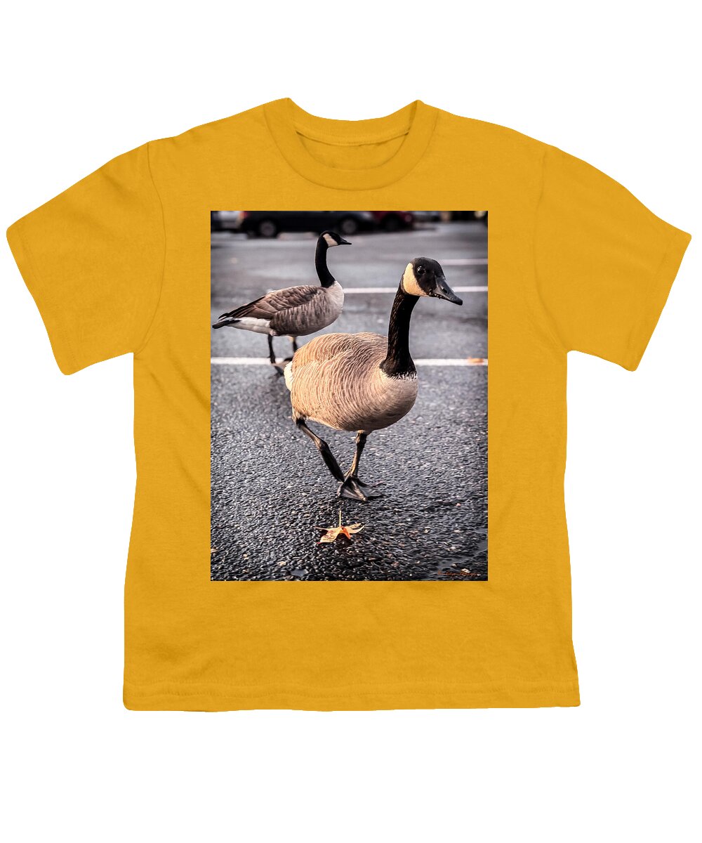 Geese in the parking lot - Youth T-Shirt