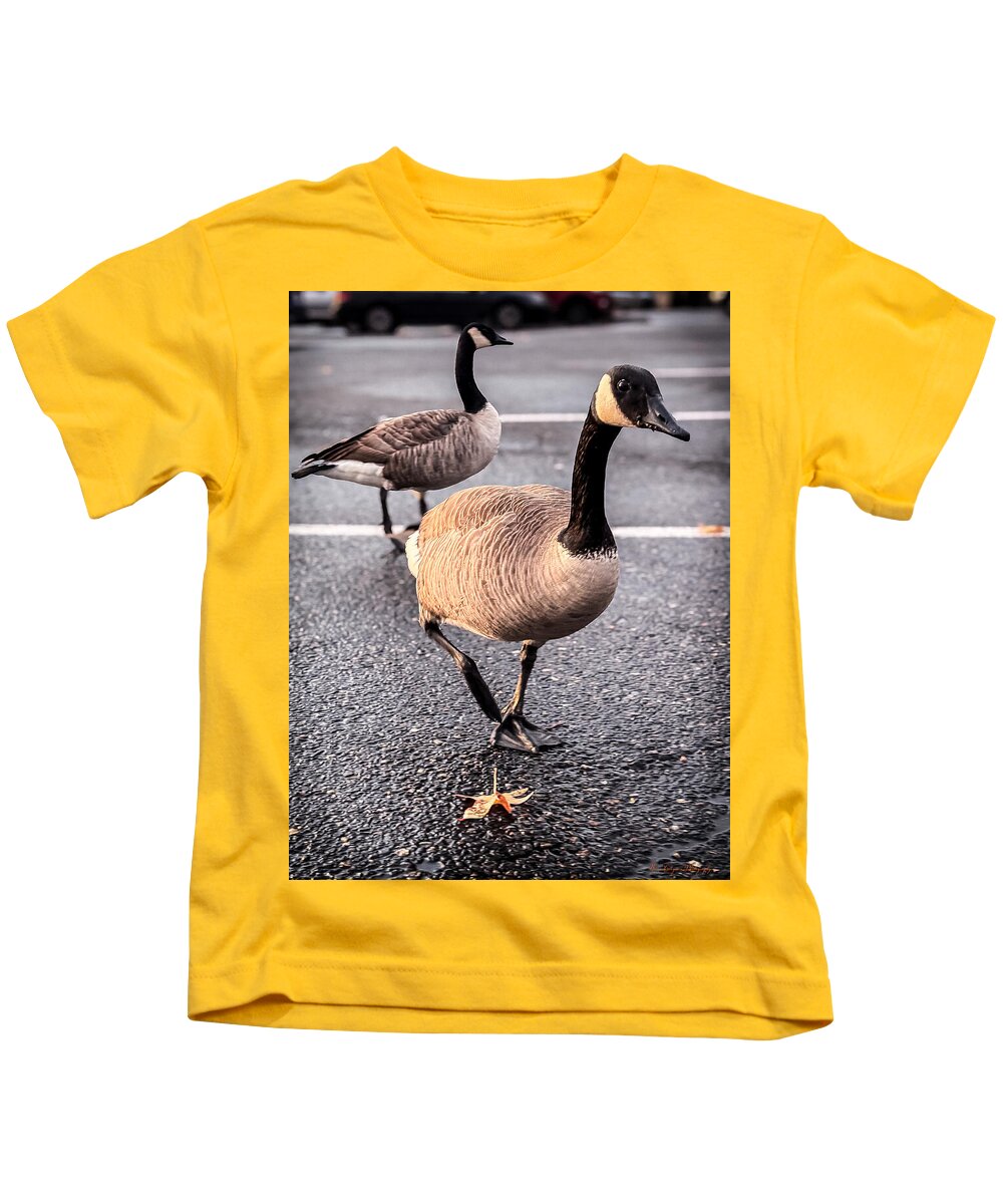 Geese in the parking lot - Kids T-Shirt
