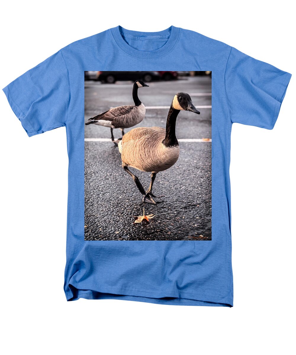 Geese in the parking lot - Men's T-Shirt (Regular Fit)