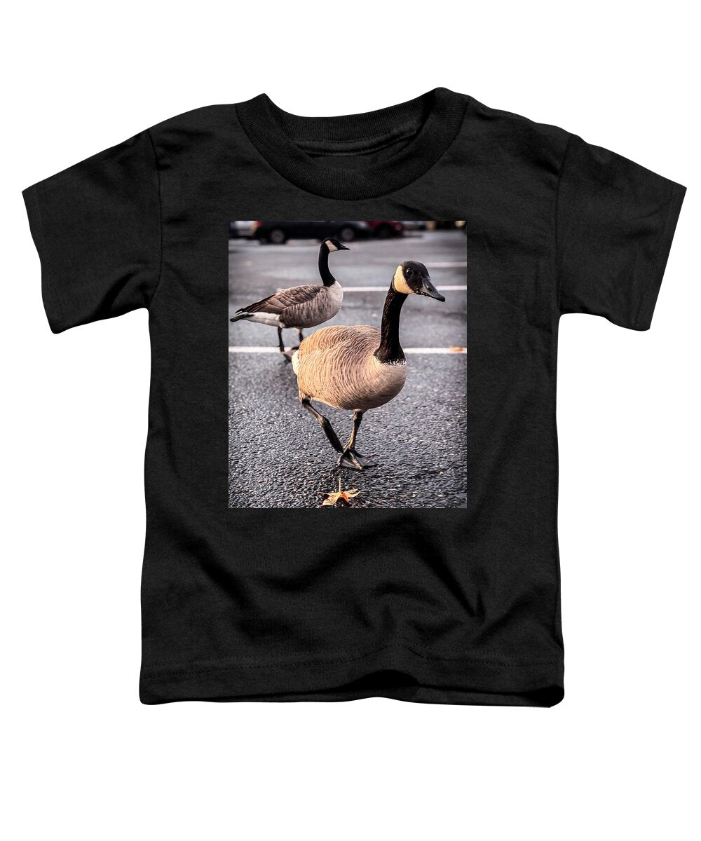 Geese in the parking lot - Toddler T-Shirt
