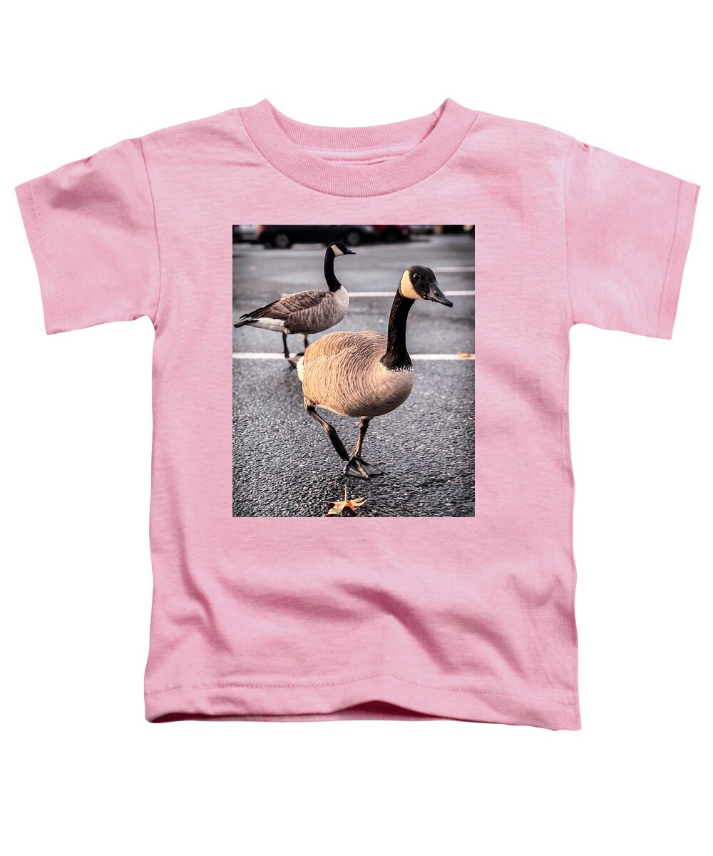 Geese in the parking lot - Toddler T-Shirt