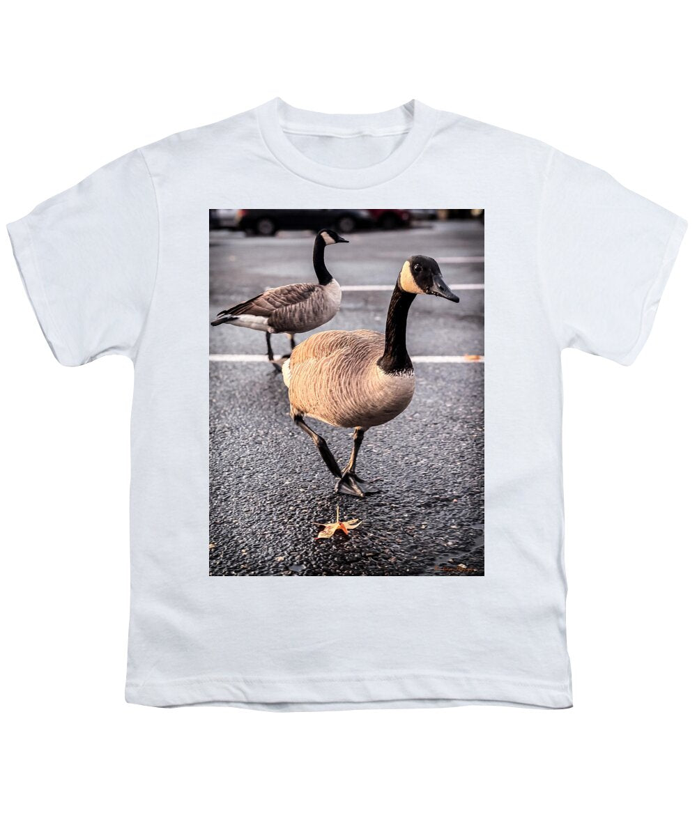 Geese in the parking lot - Youth T-Shirt
