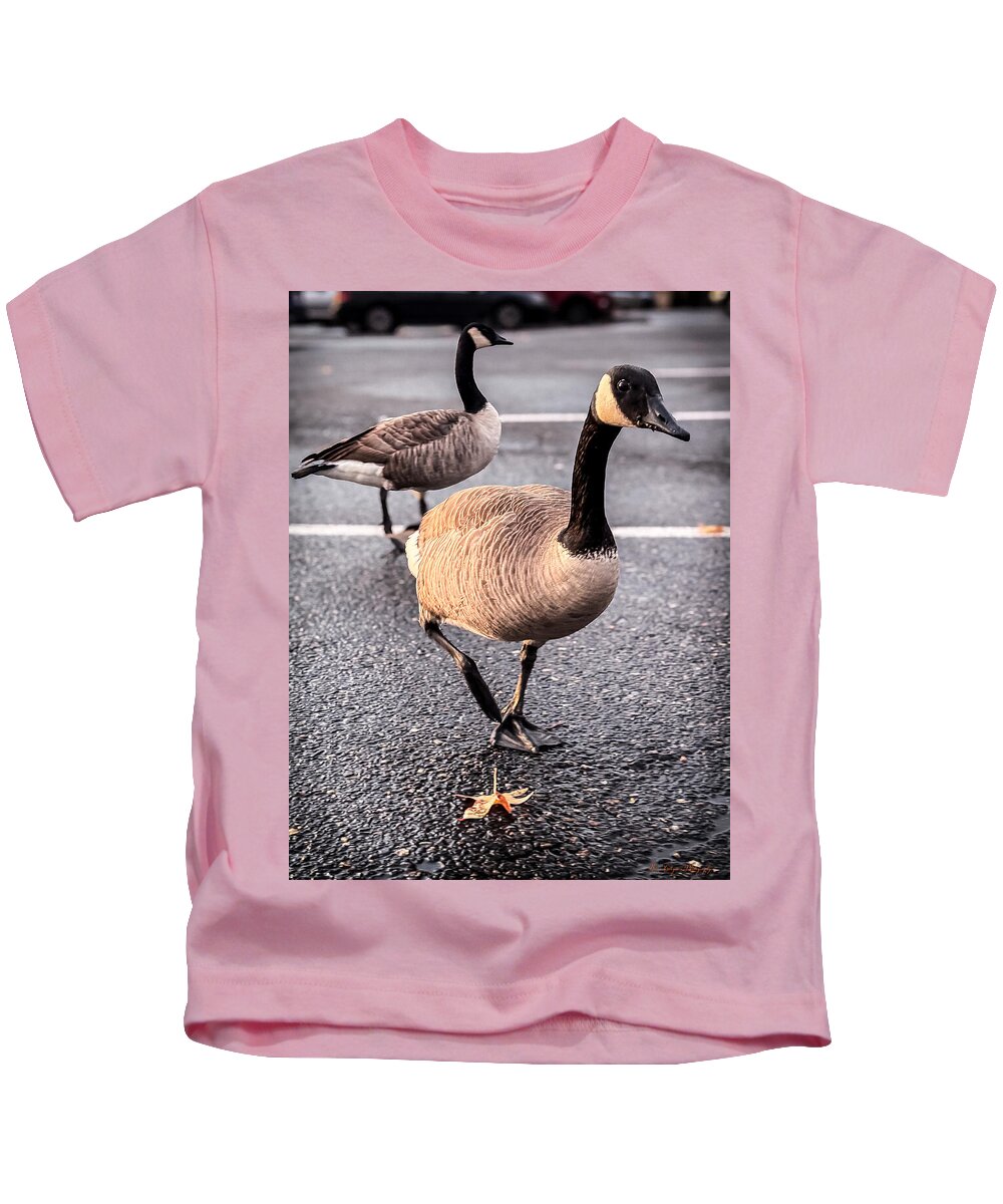Geese in the parking lot - Kids T-Shirt