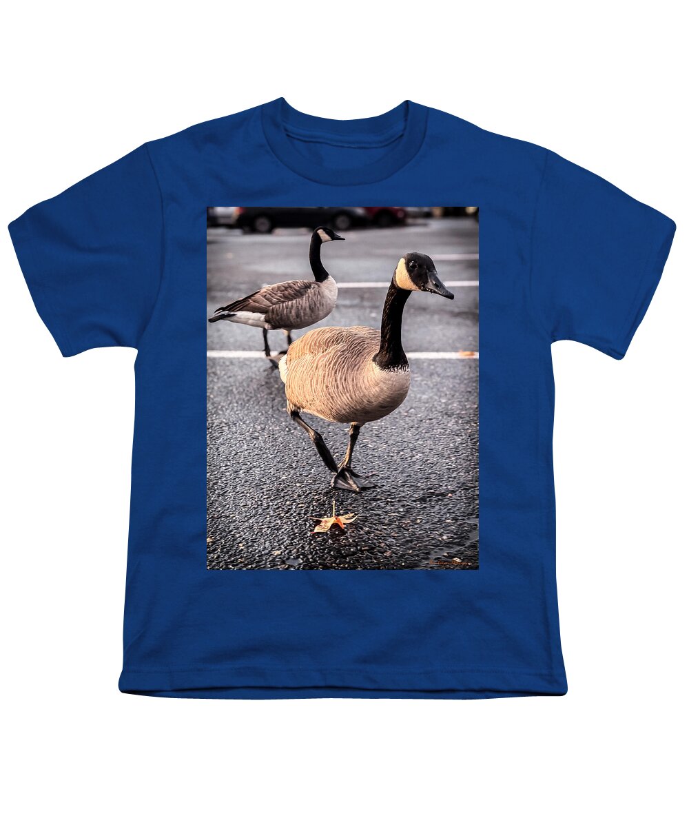 Geese in the parking lot - Youth T-Shirt