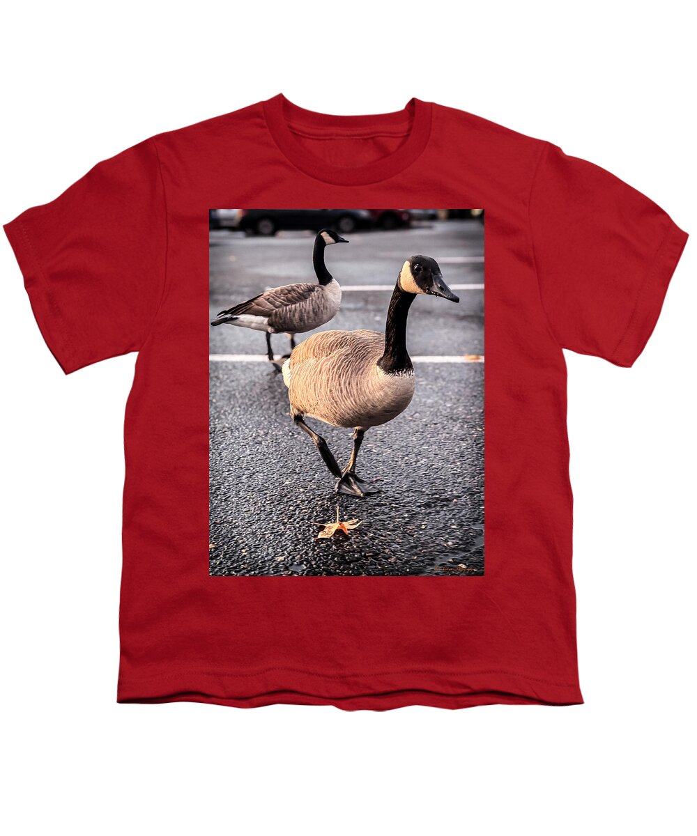Geese in the parking lot - Youth T-Shirt