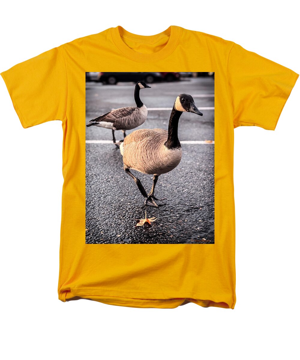 Geese in the parking lot - Men's T-Shirt (Regular Fit)