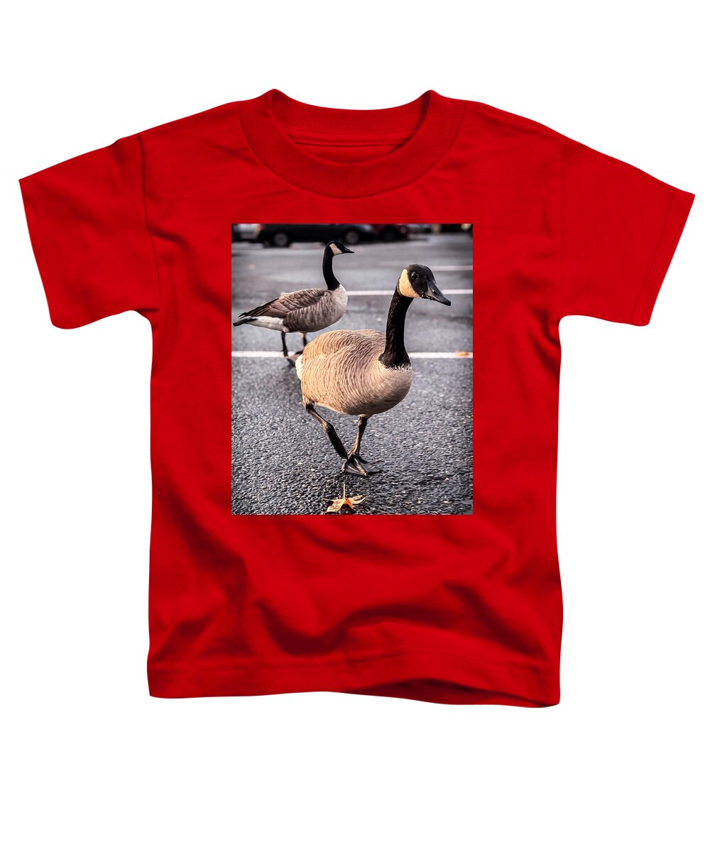 Geese in the parking lot - Toddler T-Shirt