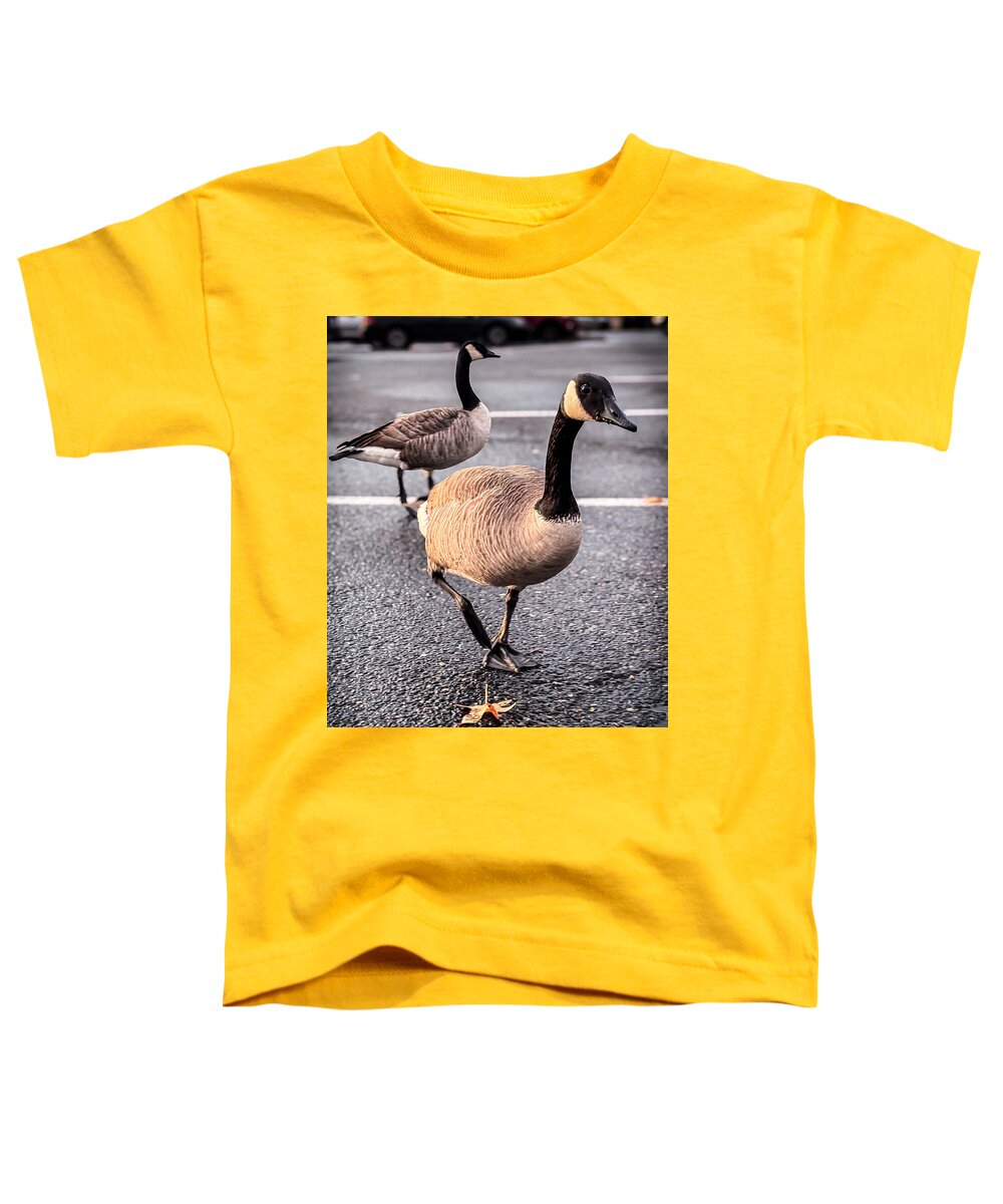 Geese in the parking lot - Toddler T-Shirt
