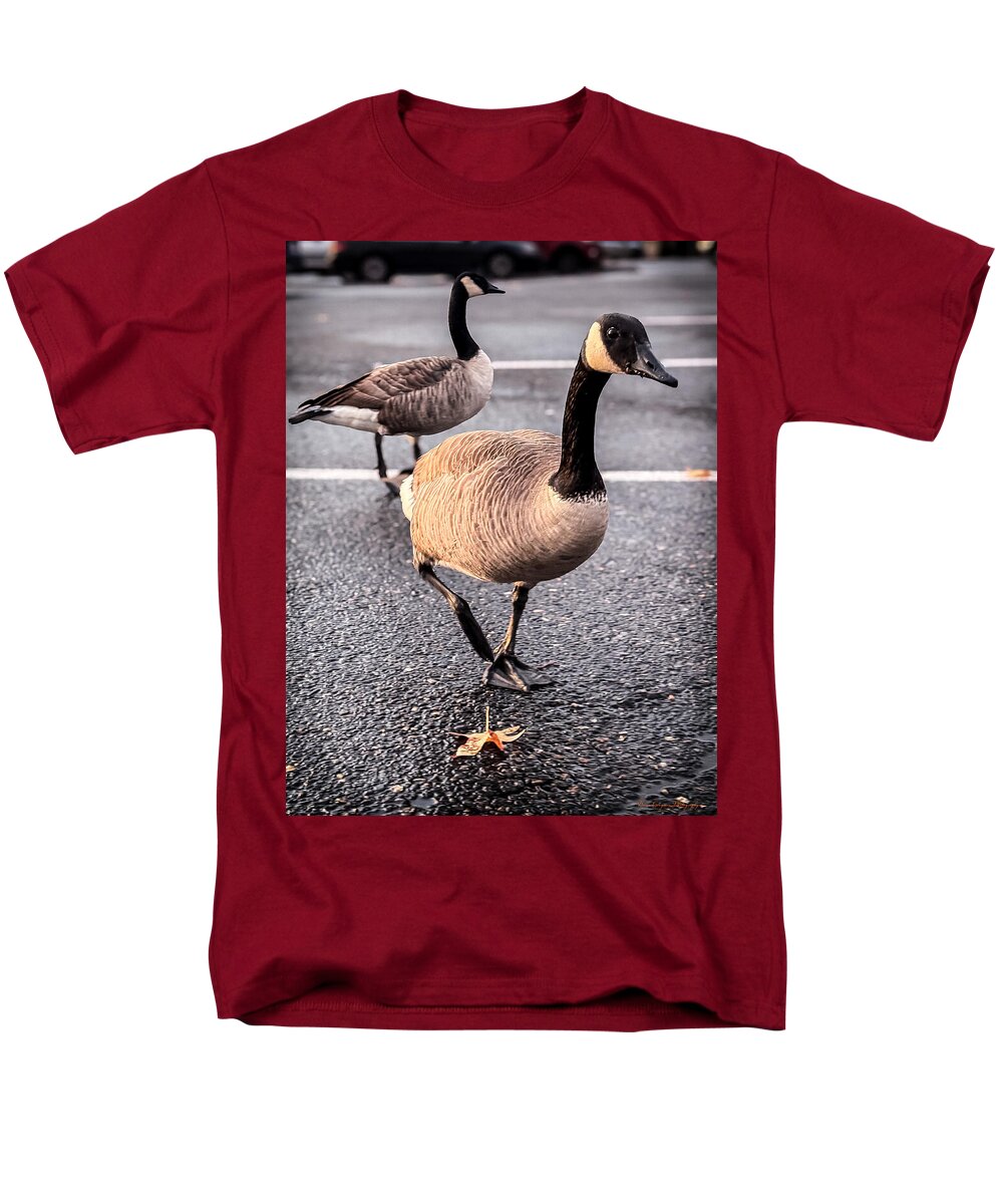 Geese in the parking lot - Men's T-Shirt (Regular Fit)