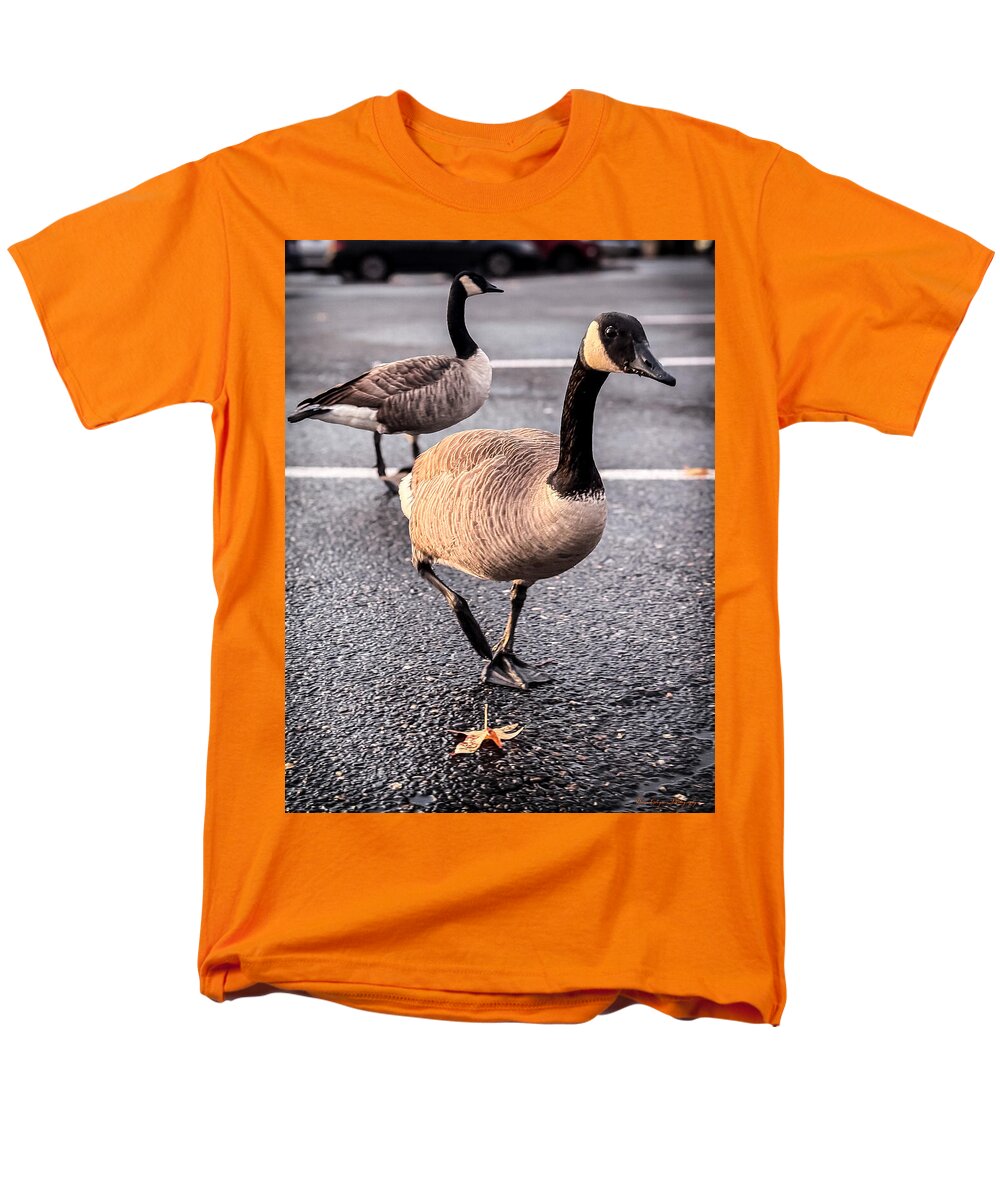 Geese in the parking lot - Men's T-Shirt (Regular Fit)