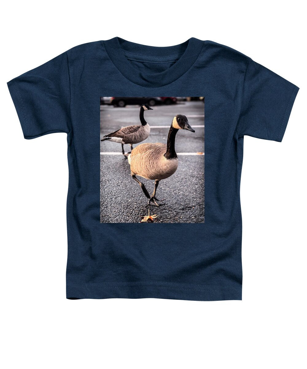Geese in the parking lot - Toddler T-Shirt