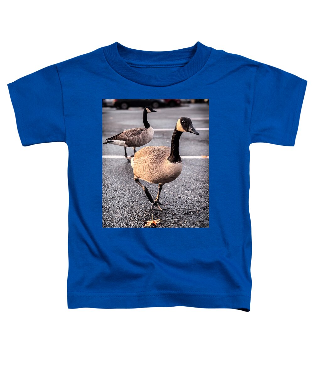 Geese in the parking lot - Toddler T-Shirt