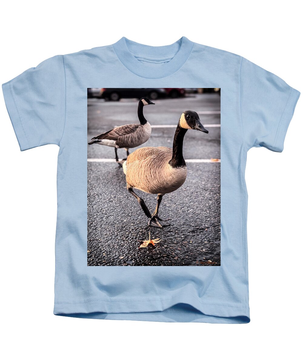 Geese in the parking lot - Kids T-Shirt
